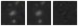 Missing file PGC083341-custom-montage-W1W2.png