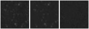 Missing file AGC205197-custom-montage-W1W2.png