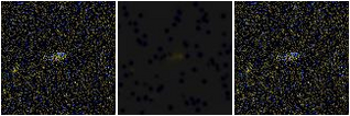 Missing file AGC208737-custom-montage-FUVNUV.png