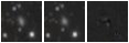 Missing file PGC032282-custom-montage-W1W2.png