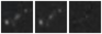 Missing file PGC032319-custom-montage-W1W2.png