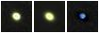Missing file PGC083352-custom-montage-FUVNUV.png