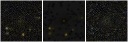 Missing file PGC2793673-custom-montage-FUVNUV.png