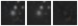 Missing file PGC3097669-custom-montage-W1W2.png