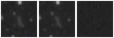 Missing file SDSSJ105042.56+315129.0-custom-montage-W1W2.png