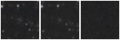Missing file SDSSJ105146.67+135835.5-custom-montage-W1W2.png