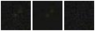 Missing file VFID4500-custom-montage-FUVNUV.png
