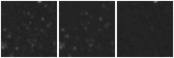 Missing file PGC5065937-custom-montage-W1W2.png