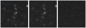 Missing file SDSSJ105346.42+332205.1-custom-montage-W1W2.png