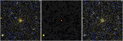 Missing file UGC05955-custom-montage-FUVNUV.png