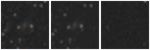 Missing file UGC06055-custom-montage-W1W2.png