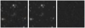 Missing file PGC2301841-custom-montage-W1W2.png