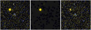 Missing file AGC749189-custom-montage-FUVNUV.png