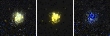 Missing file UGC06181-custom-montage-FUVNUV.png