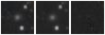 Missing file PGC2428941-custom-montage-W1W2.png