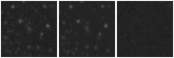 Missing file SDSSJ111147.04+185125.8-custom-montage-W1W2.png