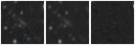 Missing file PGC1219195-custom-montage-W1W2.png