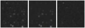 Missing file PGC2275567-custom-montage-W1W2.png