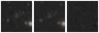 Missing file PGC2446875-custom-montage-W1W2.png