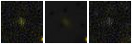 Missing file PGC2560815-custom-montage-FUVNUV.png