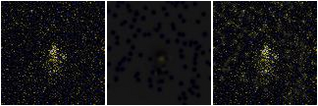 Missing file SDSSJ111342.87+352902.6-custom-montage-FUVNUV.png