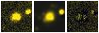 Missing file SDSSJ111532.38+143438.4-custom-montage-FUVNUV.png