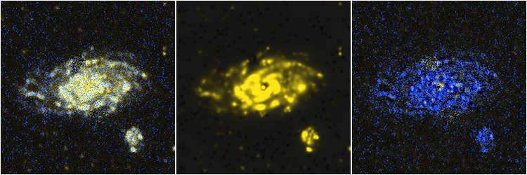 Missing file NGC3614-custom-montage-FUVNUV.png