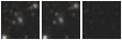 Missing file PGC034483-custom-montage-W1W2.png