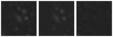 Missing file PGC2571768-custom-montage-W1W2.png