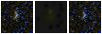 Missing file SDSSJ111803.87+101439.9-custom-montage-FUVNUV.png