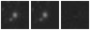 Missing file PGC034831-custom-montage-W1W2.png