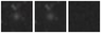 Missing file PGC1420152-custom-montage-W1W2.png
