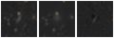 Missing file PGC1831799-custom-montage-W1W2.png