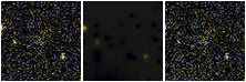 Missing file PGC2134922-custom-montage-FUVNUV.png