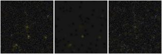 Missing file PGC2572109-custom-montage-FUVNUV.png