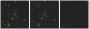 Missing file PGC2572109-custom-montage-W1W2.png