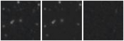 Missing file PGC2584578-custom-montage-W1W2.png