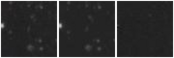 Missing file PGC5065938-custom-montage-W1W2.png