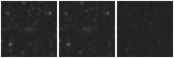 Missing file SDSSJ112017.00+452322.5-custom-montage-W1W2.png