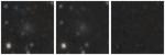 Missing file UGC06369-custom-montage-W1W2.png