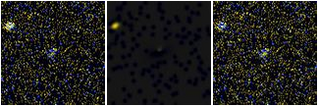 Missing file AGC749435-custom-montage-FUVNUV.png