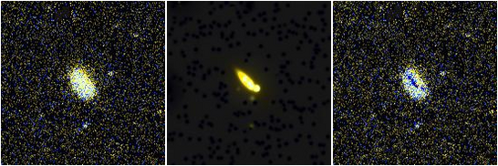 Missing file NGC3654-custom-montage-FUVNUV.png