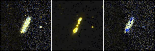 Missing file NGC3669-custom-montage-FUVNUV.png