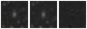 Missing file PGC087026-custom-montage-W1W2.png