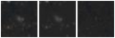 Missing file PGC2505047-custom-montage-W1W2.png