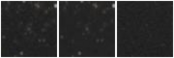 Missing file SDSSJ112504.00+280935.6-custom-montage-W1W2.png
