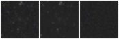 Missing file SDSSJ112648.86+364550.6-custom-montage-W1W2.png
