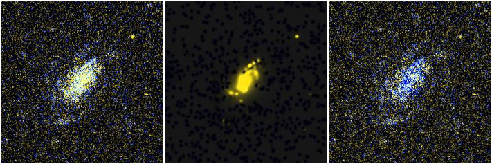 Missing file NGC3701-custom-montage-FUVNUV.png