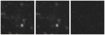 Missing file PGC035433-custom-montage-W1W2.png