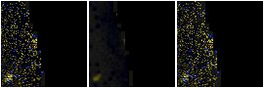 Missing file PGC035564-custom-montage-FUVNUV.png